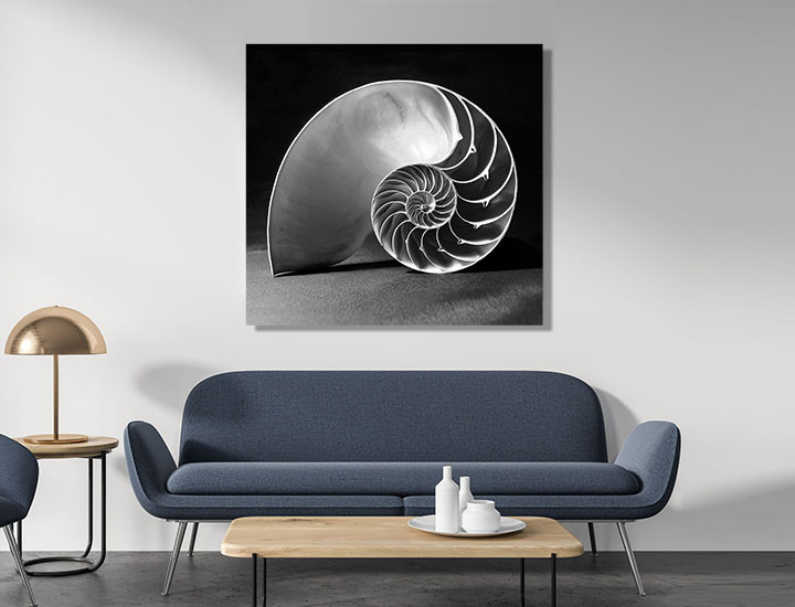 Aluminium Print - Enter Your Custom Size (Wall Mounted)