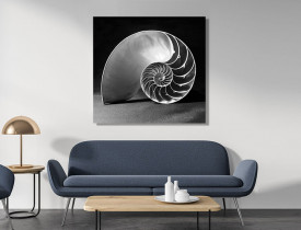 Aluminium Print - Enter Your Custom Size (Wall Mounted)