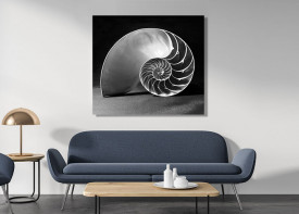 Aluminium Print - Enter Your Custom Size (Wall Mounted)